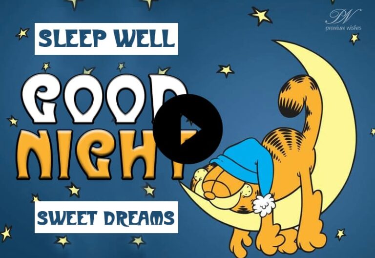 Cute Good Night with Moon – Cute Good Night Video – whats app status good night video