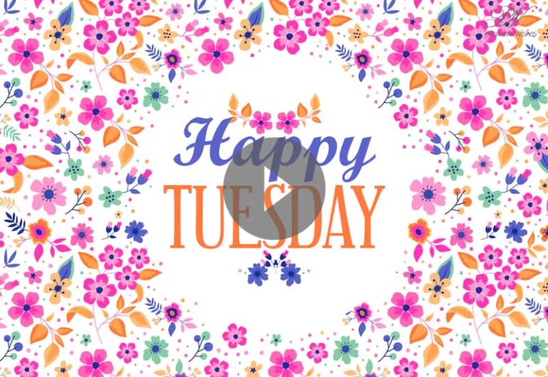 Good Morning Tuesday Video – Happy Tuesday e Greetings