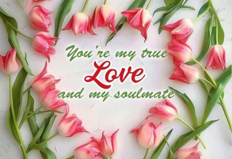 You are my true love and soulmate