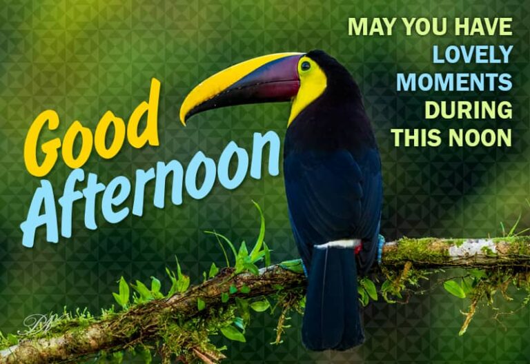 Good Afternoon Wishes