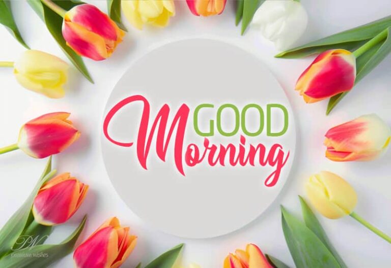 Good Morning Friends – May every moment be filled with love, laughter, and countless blessings