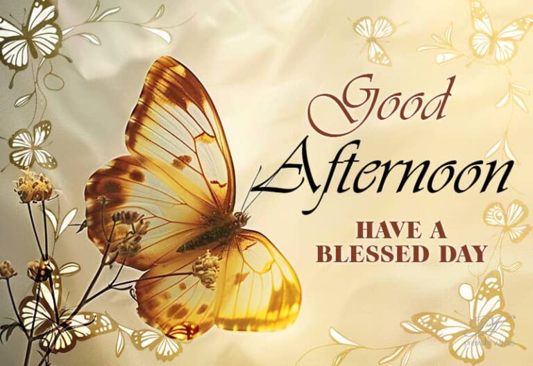 Good Afternoon Wishes