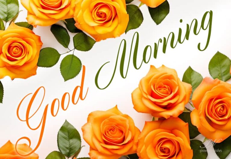 Good Morning – May each morning bring you closer to your dreams