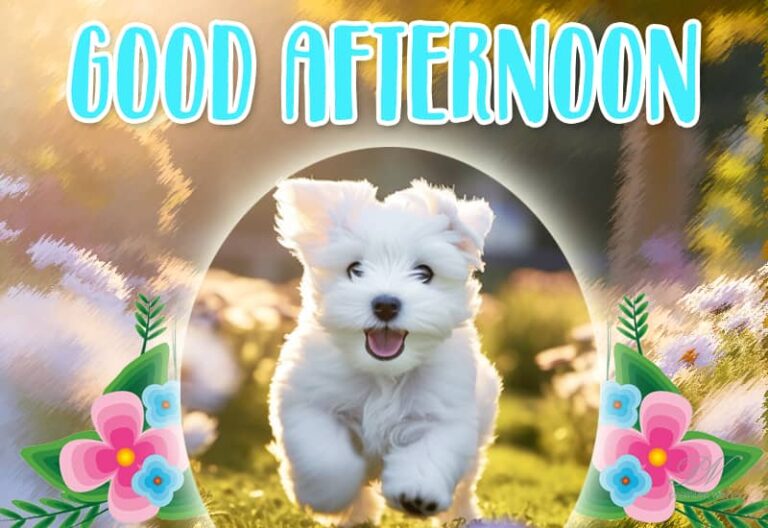 Good Afternoon Wishes