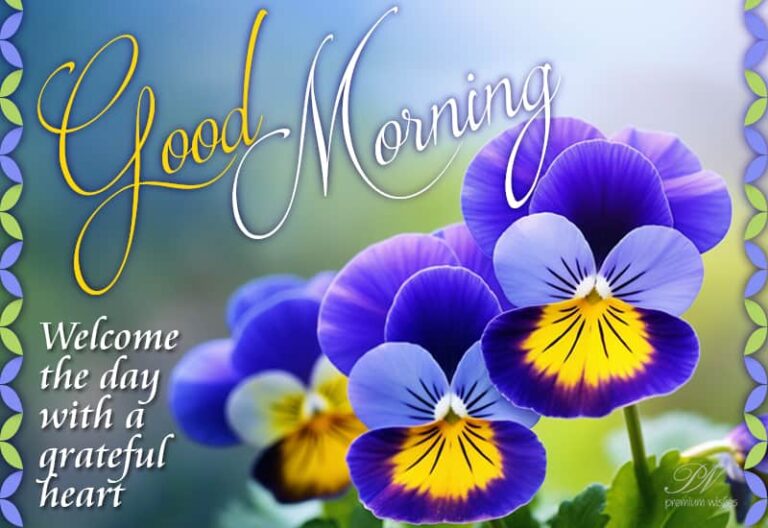 Good Morning – Welcome the day with a grateful heart