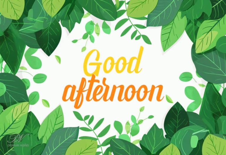 Good Afternoon Wishes
