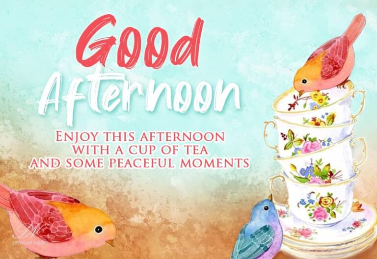 Good Afternoon – Enjoy this afternoon with a cup of tea some peaceful moments