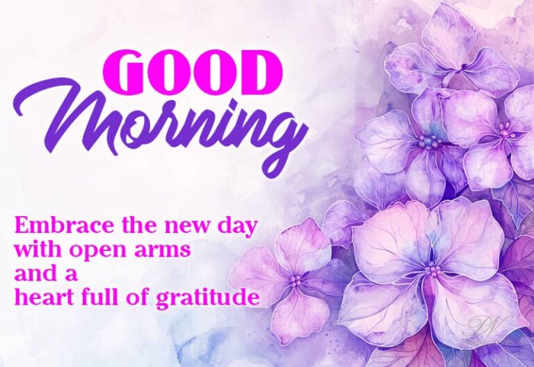 Good Morning – Embrace the new day with open arms and heart full of gratitude