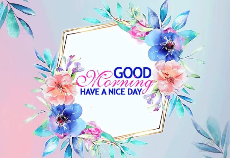 Good Morning – Have a nice day friends – Enjoy the day ahead