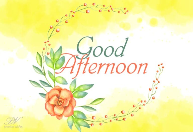 Good Afternoon – Take a break and enjoy some well-deserved rest