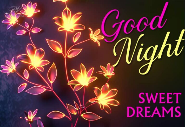 Good Night Wishes