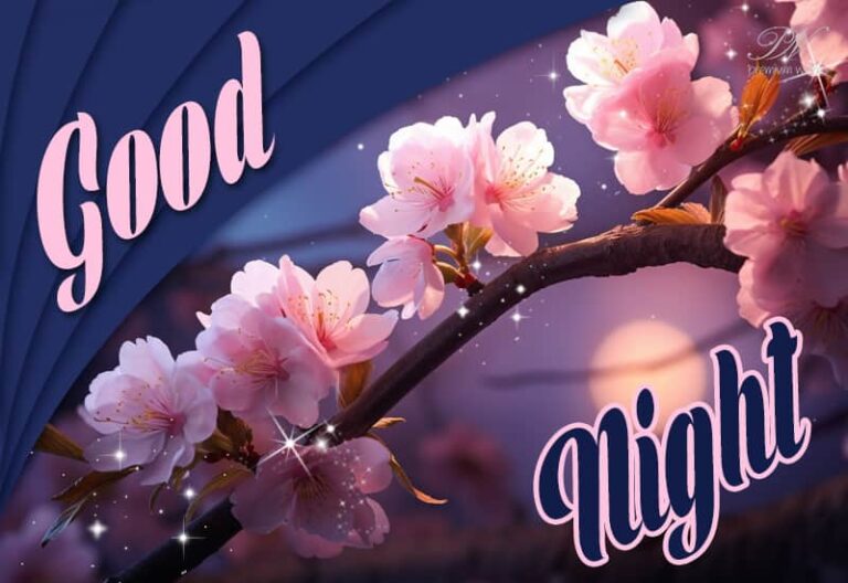 Good Night Wishes