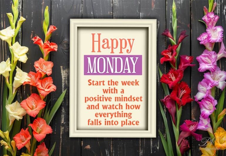Happy Monday – Start the week with a positive mindset and watch how everything falls into place