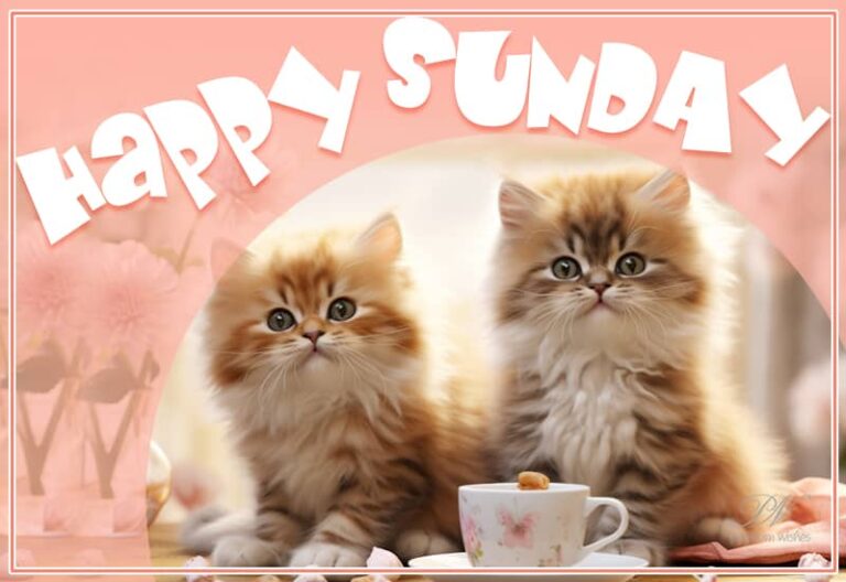 Sending you Sunday blessings and positive energy for the week ahead