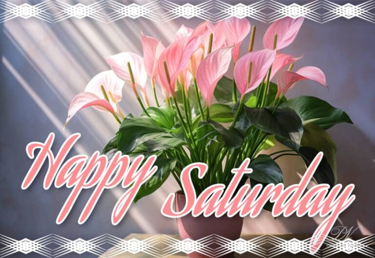 May your Saturday be blessed with joy and happiness