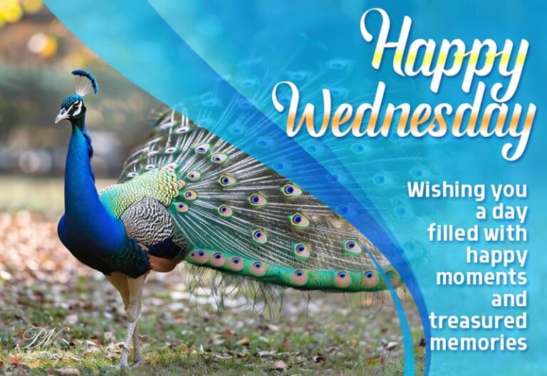 Happy Wednesday – Wishing you a day filled with happy moments and treasured memories