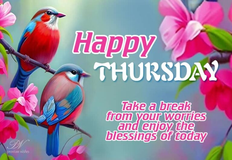 Happy Thursday – Take a break from your worries and enjoy the blessings of today