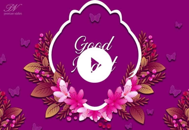 Good Night Status – Good Night Whatsapp Video
