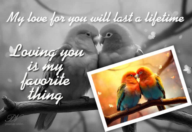 My love for you will last a lifetime