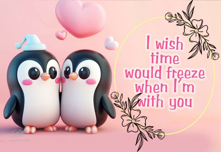 I wish time would freeze when I am with you