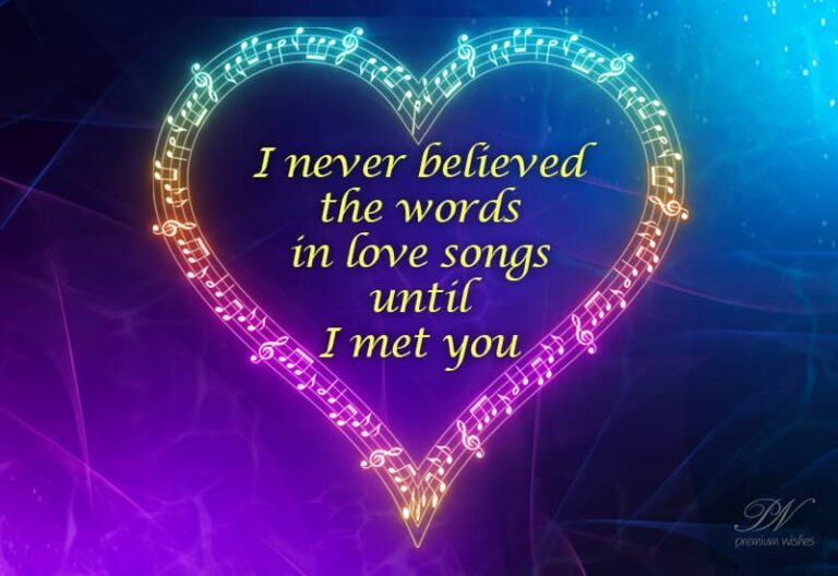 I never believed the words in love songs until I met you