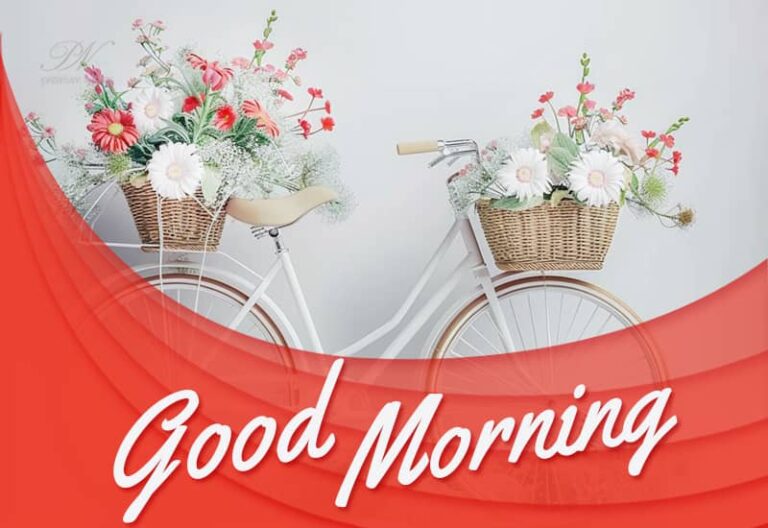 Wishing you a sweet and delightful morning – Have a great day friends