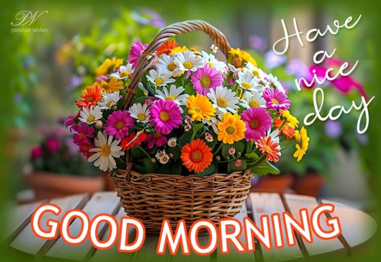 Good Morning – May the sun shine brightly on your path always