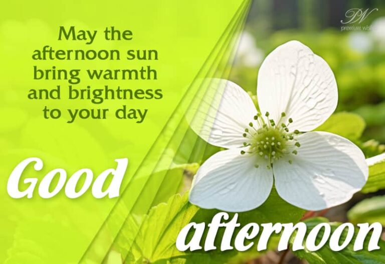 Good Afternoon Wishes