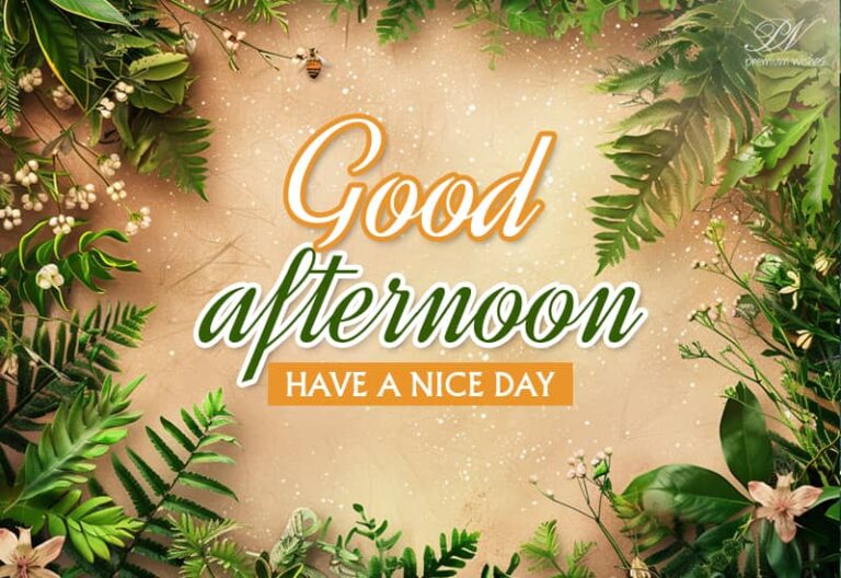 Good Afternoon Wishes