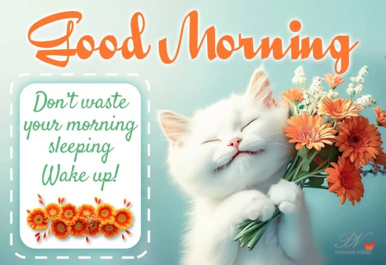 Good Morning – Don’t waste your morning sleeping – Wake Up