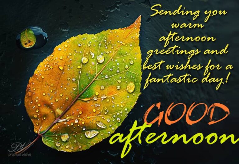 Good Afternoon Wishes