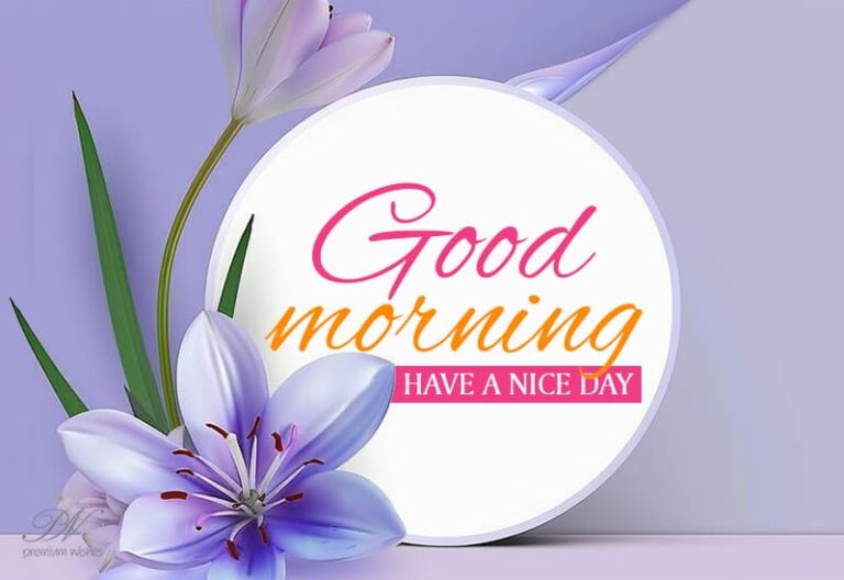 Good Morning – Have a fabulous day ahead Good Morning – Have a fabulous day ahead