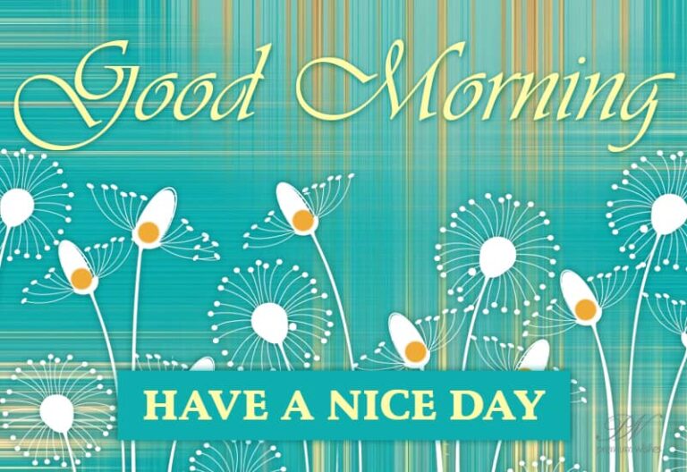 Good Morning – Have a nice day dear friends – Enjoy