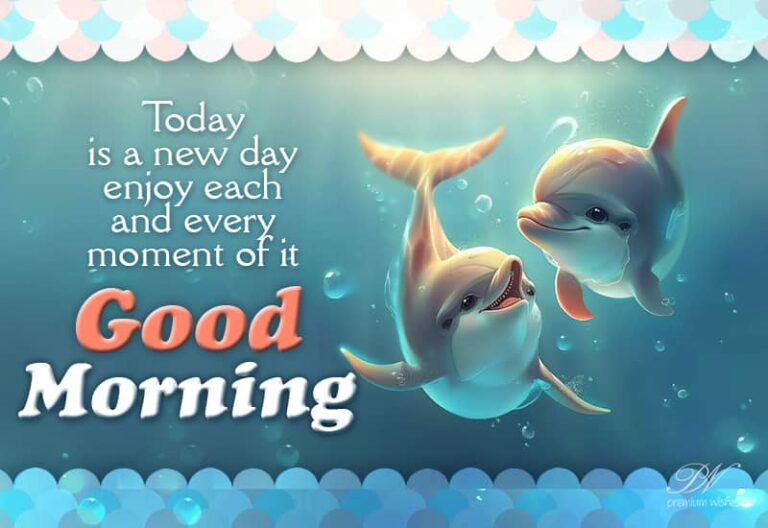 Today is a new day enjoy each and every moment of it – Good Morning