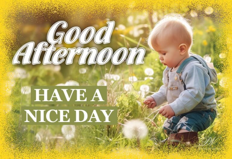 Good Afternoon Wishes