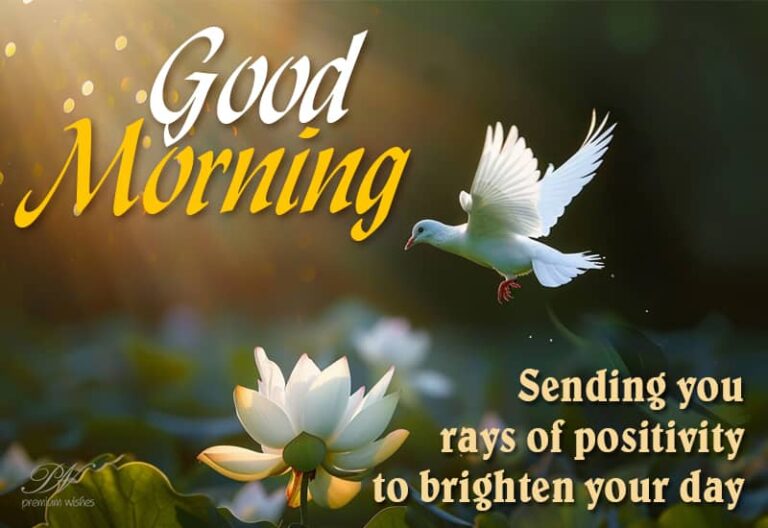 Good Morning – Sending you rays of positivity to brighten your day