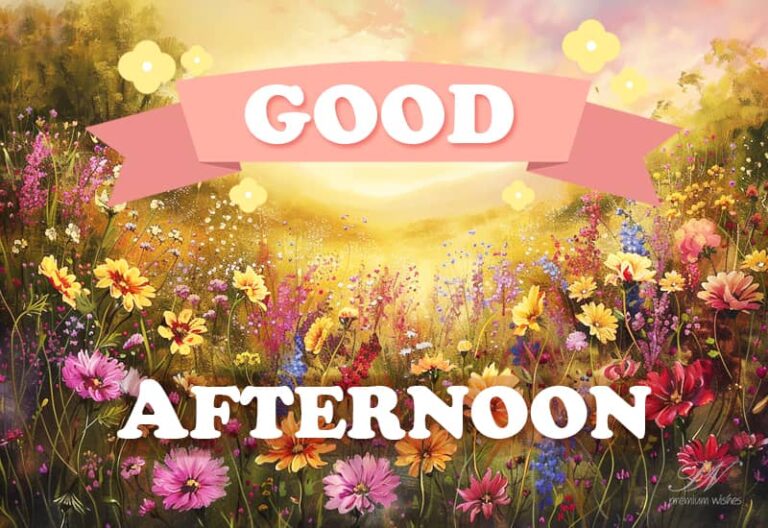 Good Afternoon Wishes