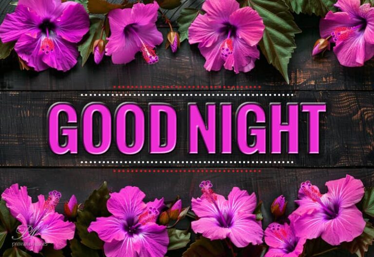 Good Night Wishes