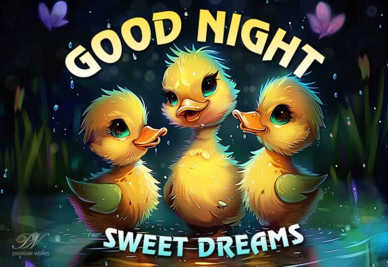 Good Night Wishes
