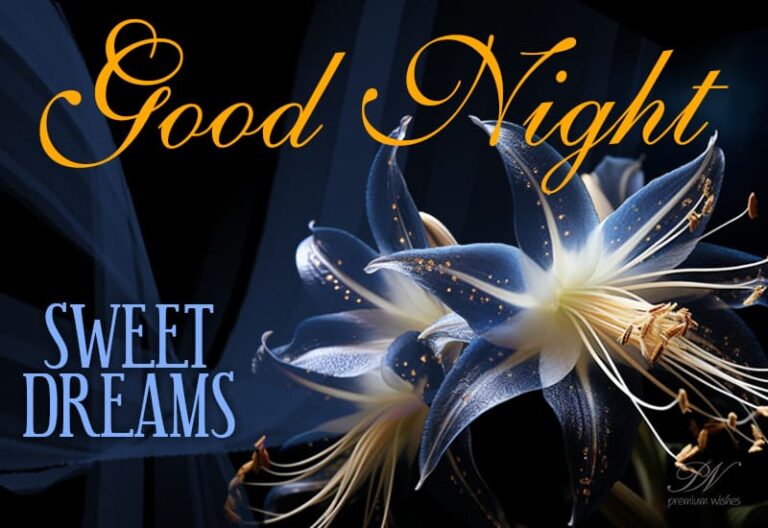May your dreams be filled with happiness and peace. Good night!