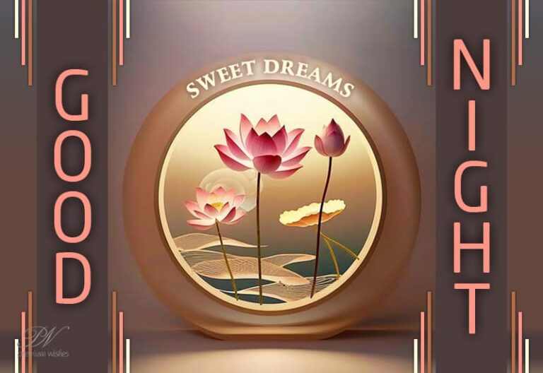 Good Night Wishes