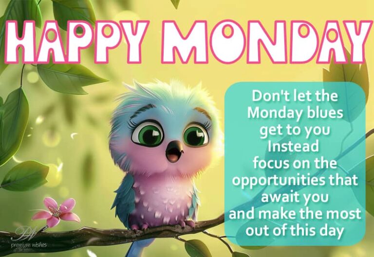 Happy Monday – Do not let Monday blues to get to you instead focus on opportunities