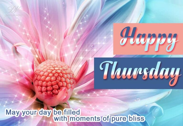 Happy Thursday – May your day be filled with moments of pure bliss
