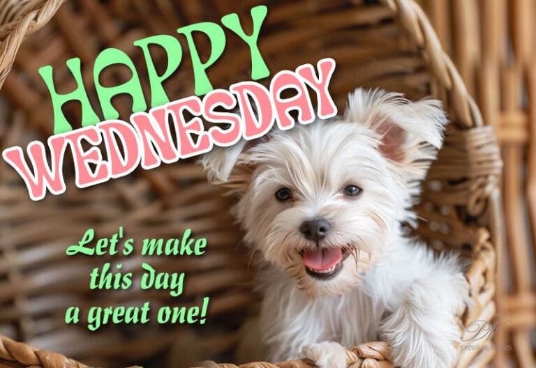 Happy Wednesday – Let’s make this day a great one