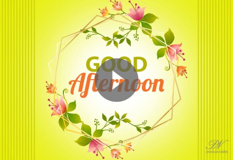 Good Afternoon with flowers – Best Good Afternoon Video