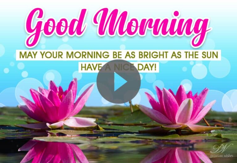 Good Morning Video with Beautiful Pink Flowers – Best Good Morning Video –  Morning Whatsapp Greeting