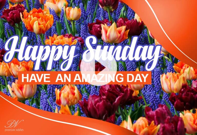 Happy Sunday Whatsapp Status – Happy Sunday Video