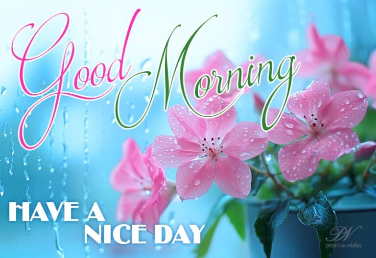 Wishing you a truly beautiful morning and an even better day ahead