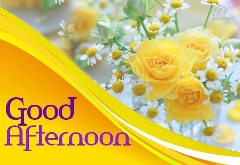 Good Afternoon Wishes