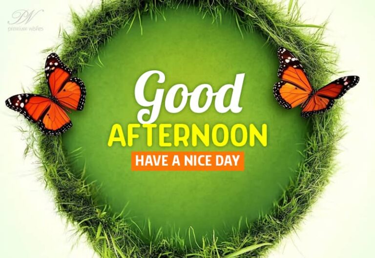 Good Afternoon Wishes